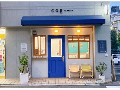 コグバイアカラ(Cog by AKARA)の写真