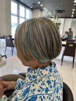 フィッツ(Fits)&nbsp;グレイヘアーデザインカラー