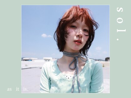 ソル(sol.)の写真