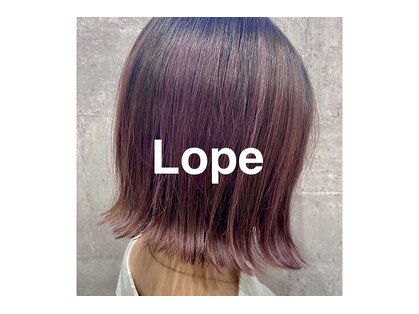 ロペ(Lope)の写真