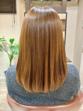 パレット(PALETTE) ミディアム