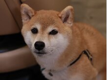 神名美容室 ゴッドドッグ(goddog)の雰囲気（初めてご来店の方にgoddogのウェルカムドリンク♪（水～日限定））