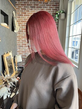 空 【Kazuki】チェリーレッド/ワインレッド/レッド