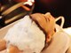 ヘアーリゾート ガーデン 三鷹店(Hair Resort Garden)の写真/最高級ヘアケア取扱いsalon♪経験豊富なStylistが髪の綺麗をサポート![三鷹・吉祥寺]