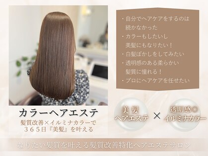 シェノン(Chainon)の写真