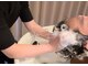 スクテ スイ(SQUTE Sui)の写真