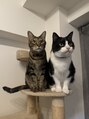 シレーナ ヘアーリゾート(Sirena Hair Resort)&nbsp;愛猫のハヤテとイロハです！猫大好きです♪