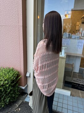 ガーベラ(gerbera) ミディアムレイヤー