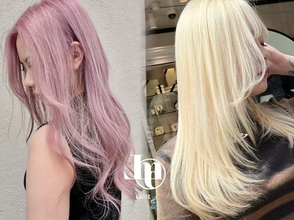 レイム(LAME)の写真