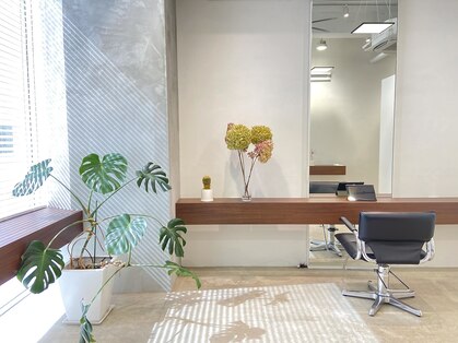 ノーマン(norman)の写真