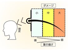 髪1本でもダメージには差があります！特に毛先は思っているより過去のダメージが蓄積されているかも！？