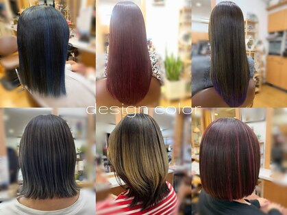 カメザキ(KAMEZAKI)の写真