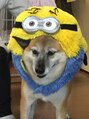 モアレ 新涯店(MOARE) 犬が、大好き今の同居犬は10歳です