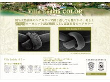 ルー(loup)の雰囲気（92％天然由来のヘアカラーで繰り返しても美しい髪へ）