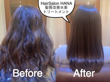 ハナ(HANA)の写真