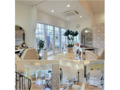 キティ(KITTY)の写真