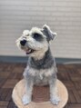トリコ(trico)&nbsp;愛犬ちゃん♪お休みの日は、一緒にまったり！