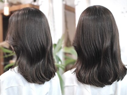 リッカ(RICCA)の写真
