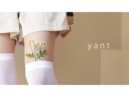 ヤント(yant)の写真