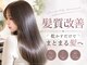 ヘアーエボリューションの写真