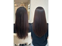 シャール(shall)
