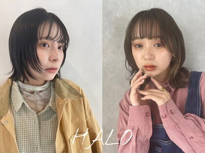 ハロ 蕨(HALO)の写真