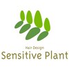 センシティブプラント(Sensitive Plant)のお店ロゴ