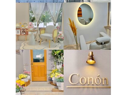 コノン(Conon)の写真
