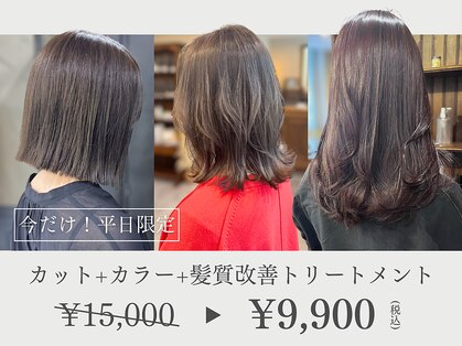 アーカイブ(Archive)の写真