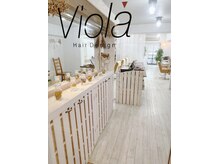 ビオラ(Viola)