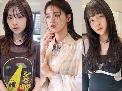 ガーランドウメダ(Garland umeda)の写真