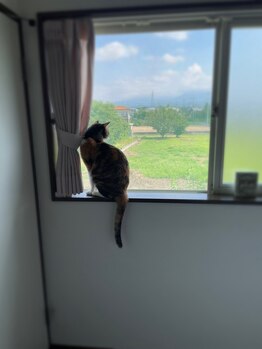 サポート(support)の写真/「また来たくなる」アットホームな居心地の良さ◎周りに気兼ねのない1:1のカウンセリングで理想を形に♪