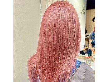 Iris 【アイリス】