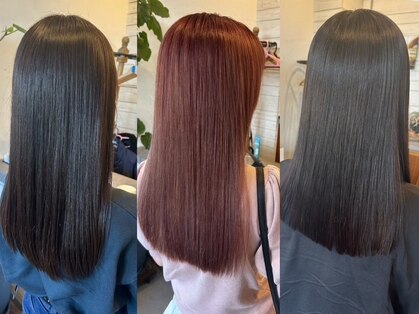 リーシュ(LEASH)の写真