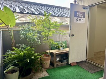 代(SHIRO)の写真/【‐名山‐個室マンツーマン】肌ケアが出来るシェービング×清潔感のあるスタイルが叶うBARBER〈理容室〉