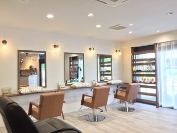 Daisy 【デイジー】