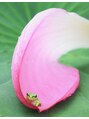 プリマベーラ(Primavera)&nbsp;趣味は、花や自然、小さな動物や鳥などの写真撮影です♪