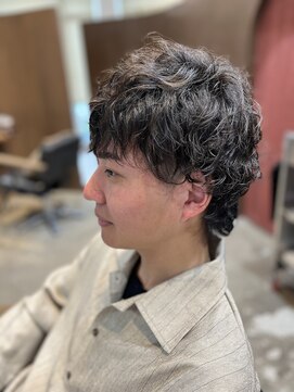リップス ヘアー(Lips hair) ウルフのソフスパスタイルです