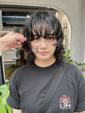 ドッグスター(dog star) ウルフパーマミディアムレイヤー顔周りレイヤー 登戸/向ヶ丘遊園