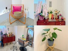 アールファイブ ショウナンダイ(R-5 shonandai)の雰囲気（Room C ブラウン×カラフル♪お花や植物も育ててます！hitomi）