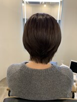 アールサロン アオヤマ(Rr SALON AOYAMA) ハリ戻しsilica