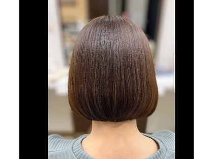 ステデイ(steady)の写真