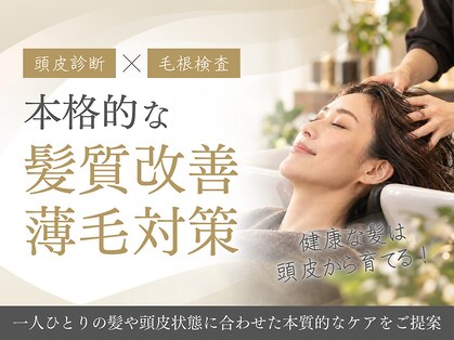 ジェンタ(Jenta)の写真