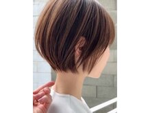 ネリネ(Nerine)