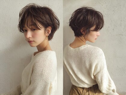 レセリア 南阿佐ヶ谷(Les Selia)の写真