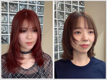 シグサ(SHIGUSA)の写真