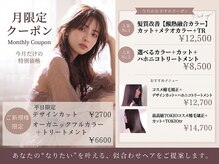 シェノン(CHAINON)