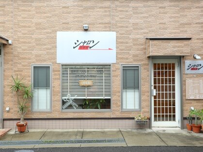 シャロンの写真