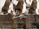 リラ バイ ミラ 新宿(LILA by MILA)の写真