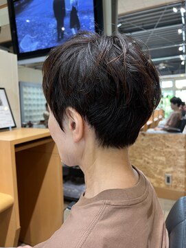 スガタ リフレクション(SUGATA reflection) カット＋レギュラーカラー